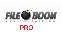 Fileboom PRO 30 Days 